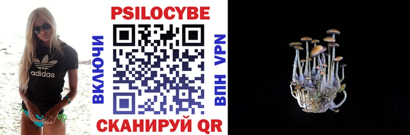 Псилоцибиновые грибы мицелий Купить где Верхняя Тура